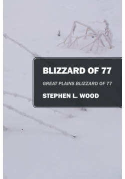Blizzard of 77