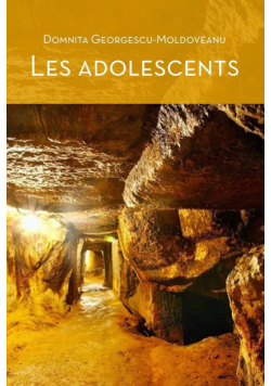 Les Adolescents (cœur D'or) - 2nd Edition