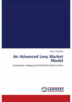 An Advanced Levy Market Model