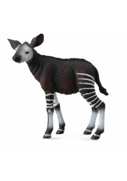 Okapi cielę