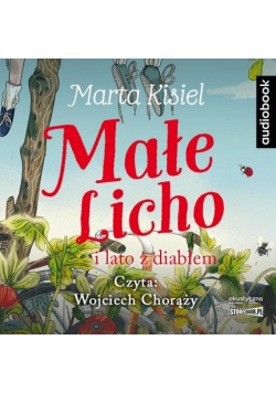 Małe Licho i lato z diabłem audiobook