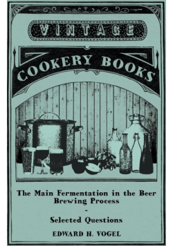 The Main Fermentation in the Beer Brewing Process - Selected Questions