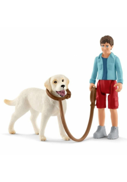 Spacer z Labrador Retriver