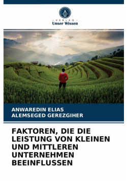 Faktoren, Die Die Leistung Von Kleinen Und Mittleren Unternehmen Beeinflussen