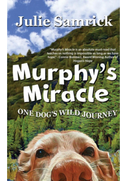 Murphy's Miracle