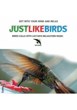 Like The Birds CD