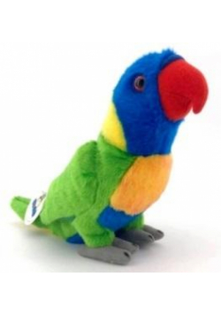 Papuga Lorysa górska 20cm