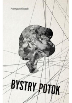 Bystry potok