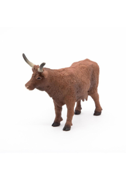 Krowa Salers