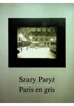 Szary Paryż Paris en gris