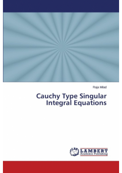 Cauchy Type Singular Integral Equations