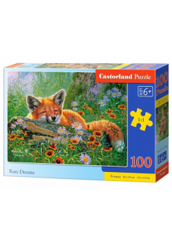 Puzzle 100 Foxy Dreams CASTOR