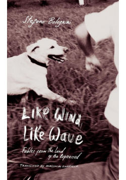 Like Wind, Like Wave