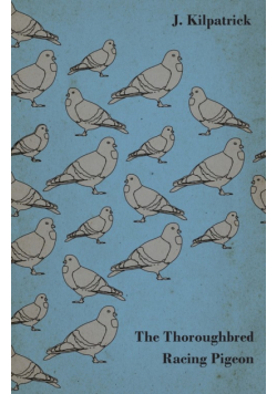 The Thoroughbred Racing Pigeon