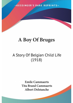 A Boy Of Bruges
