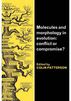 Molecules and Morphology in Evolution