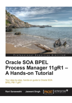 Oracle Soa Bpel PM 11g R1
