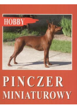 Pinczer miniaturowy