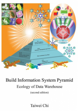 Build Information System Pyramid