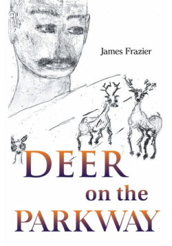 Deer on the Parkway