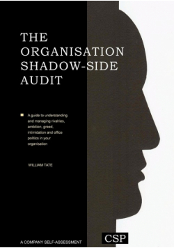 The Organisation Shadow Side Audit