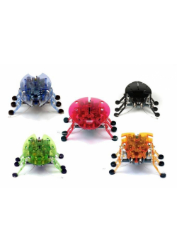 Hexbug Żuczek
