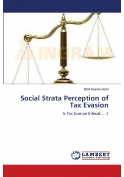 Social Strata Perception of Tax Evasion