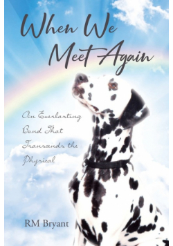 When We Meet Again