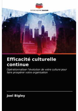 Efficacité culturelle continue
