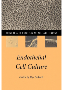 Endothelial Cell Culture