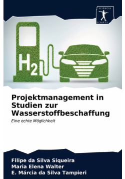 Projektmanagement in Studien zur Wasserstoffbeschaffung