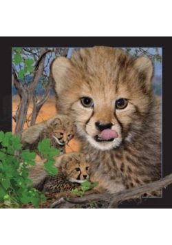 Magnes 3D Gepard