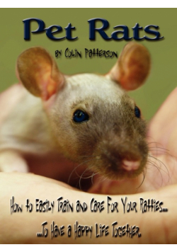 Pet Rats