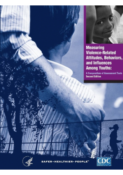 Measuring Violence-Related Attitudes, Behaviors, and Influences Among Youths