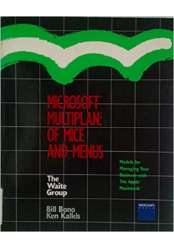 Microsoft Multiplan : of mice and menus