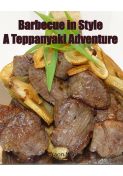 Barbecue in Style A Teppanyaki Adventure