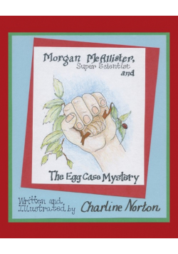 Morgan McAllister, Super Scientist and the Egg Case Mystery