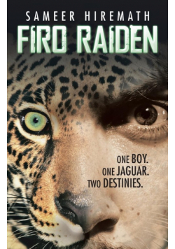 Firo Raiden