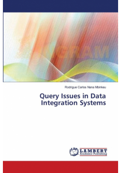 Query Issues in Data Integration Systems