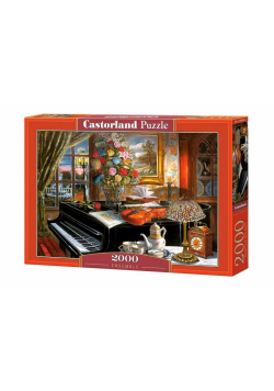 Puzzle 2000 Ensemble CASTOR