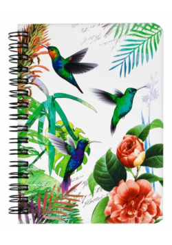 Notes na spirali ptaki