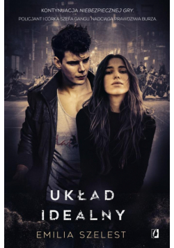 Układ idealny