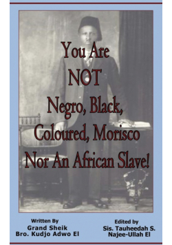 You Are NOT Negro, Black, Coloured, Morisco Nor An African Slave!