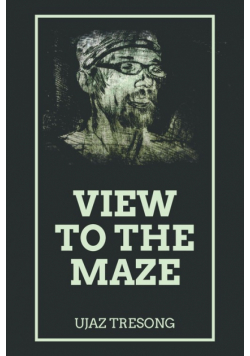 View to the Maze