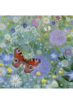 Karnet kwadrat z kopertą Peacock Butterfly