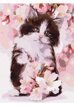 Malowanie po numerach - Puszysty kotek 30x40cm