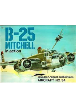 B 25 mitchell inaction