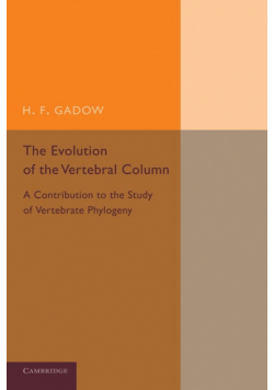 The Evolution of the Vertebral Column