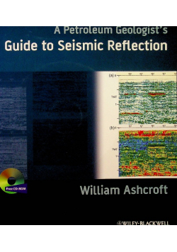 A Petroleum Geologists Guide to Seismic Reflection