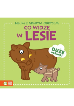 Nauka z grubym obrysem Co widzę w lesie